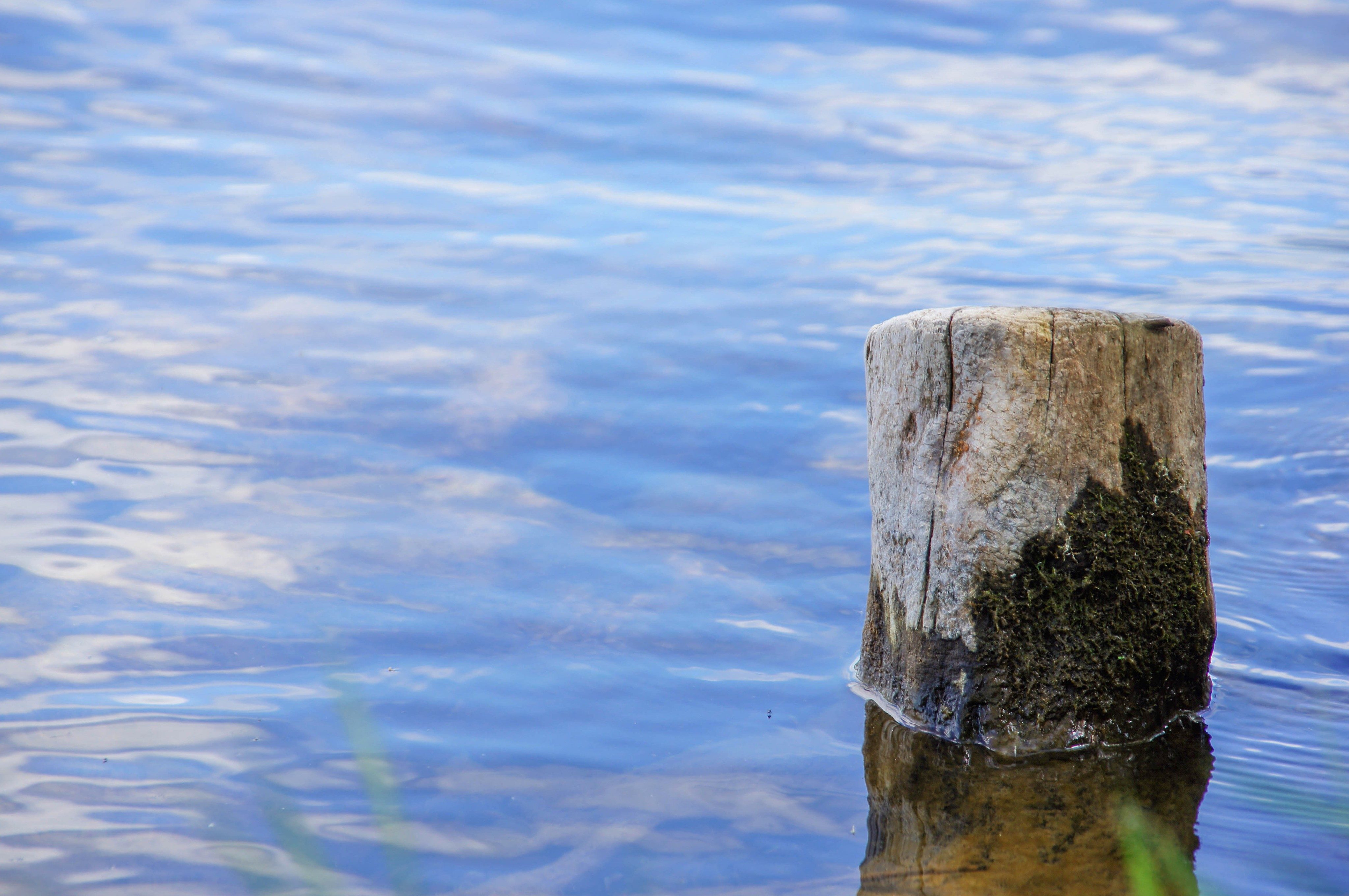 Водяная краса. Деревяшка в воде. Водяной спокойствие. Картинки холодно море деревяшки. Фото деревяшек в воде.