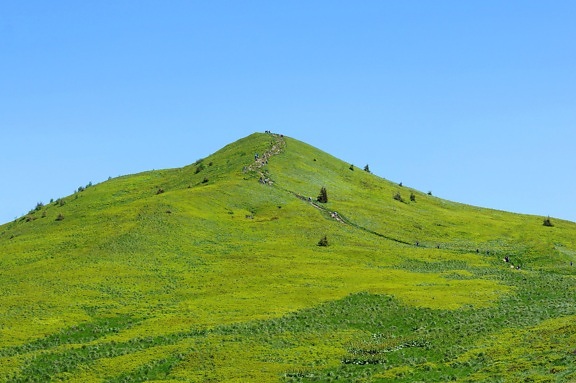 summer time, hillside, green hill, blue sky
