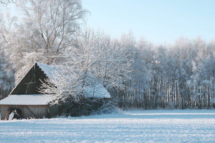 old house, wooden barn, winter, snowflakes