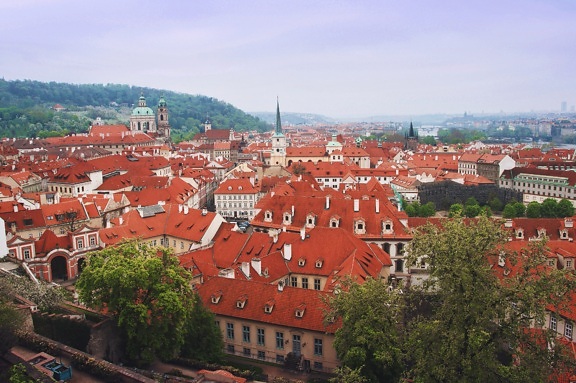 赤い屋根、曇りの日、プラハ、ダウンタウン、首都