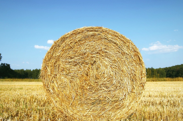 crops, agriculture field, straw bales, field, hay, summer time, blue sky, clouds