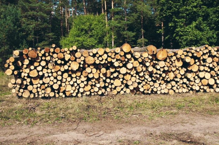hutan, kayu, kayu bakar, memotong, menumpuk kayu, batang pohon
