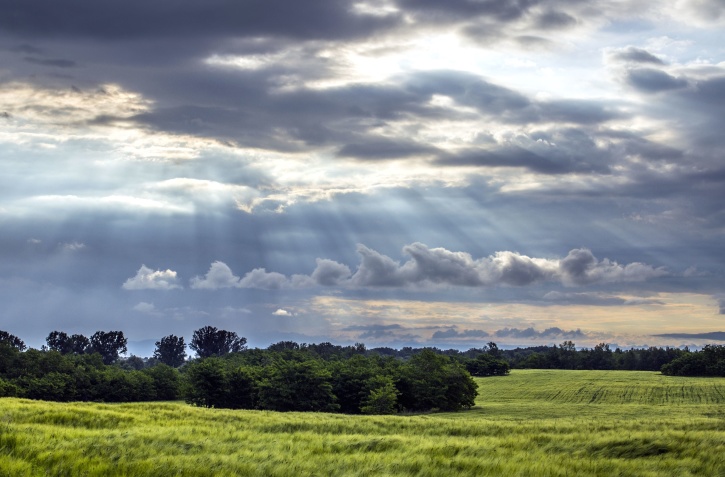 village, sky, trees, field, grass, clouds, nature