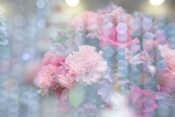bouquet, flowers, bloor, bloom, petals, blurry image