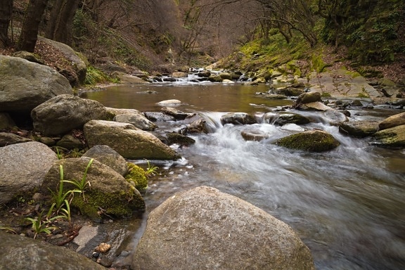snelle rivier, natuur, grote rotsen, water, lente, stenen, rotsen, bos
