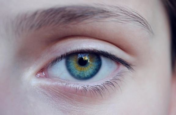 青、女性、目、眉、青い目、視線、顔