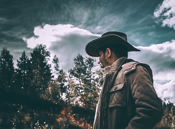cowboy, man, forest, gloomy weather, hat, woods