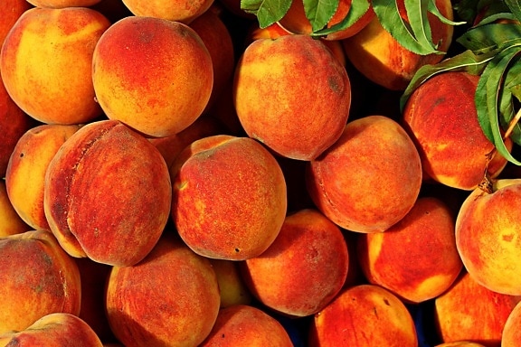 ผลไม้ พีช ผลไม้ ผลไม้ปลอดสารพิษ อาหาร อาหาร