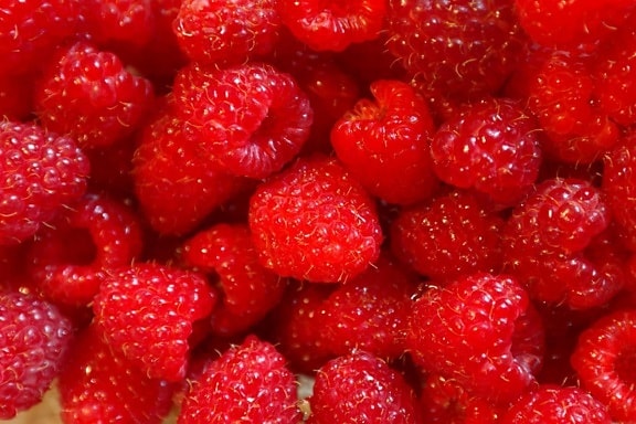 raspberries, fruits, food, healthy, red fruits, fresh, berries