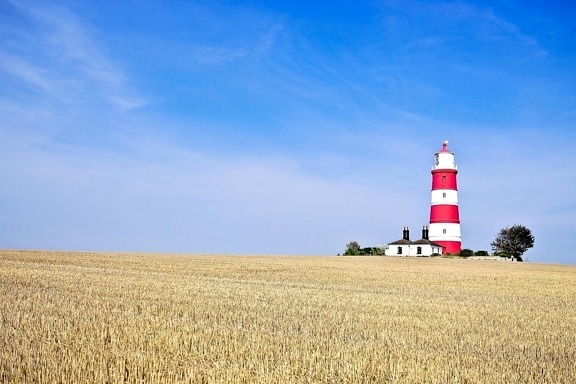 crops, field, lighthouse, summer, blue sky