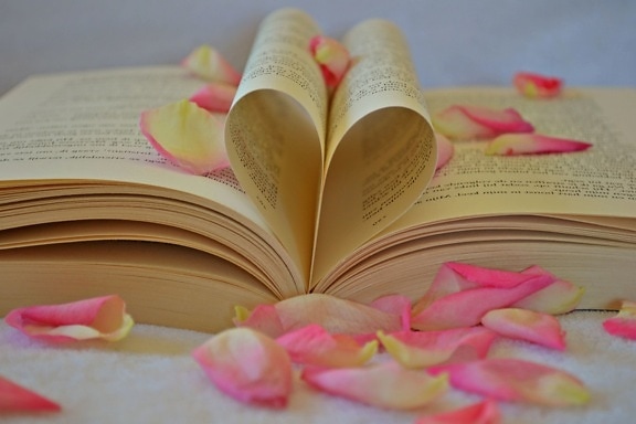 Aftelkalender voor Valentijnsdag, boek, Romantisch, liefde, literatuur, bloemblaadjes