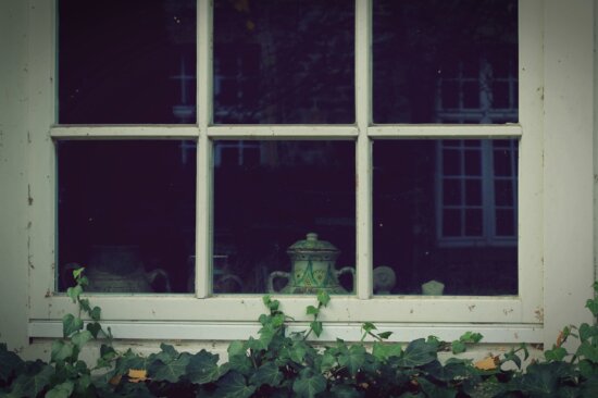 plant, wooden window, glass, ivy plants