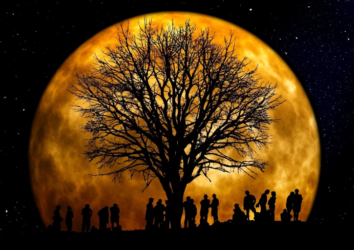 Měsíc, fotomontáž, lidé, umění, strom, skupina, monlight, tmavý, příroda