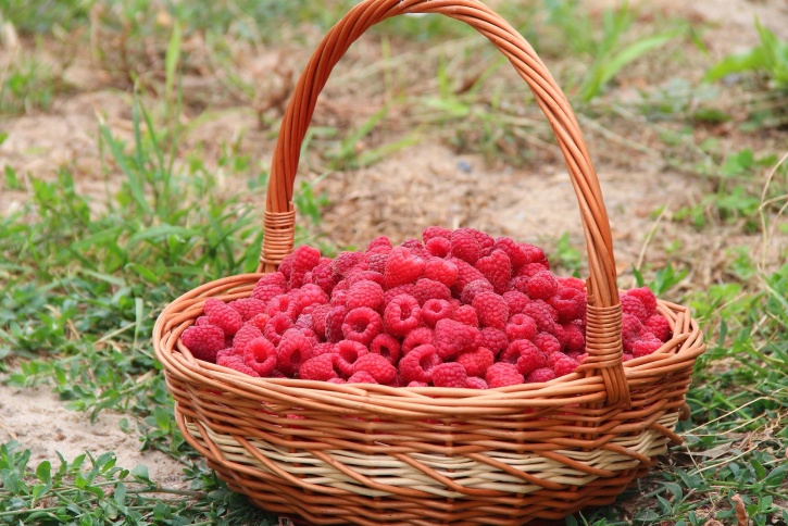 raspberries, summer, fruit, basket, green grass, sweet, wicker basket, wood