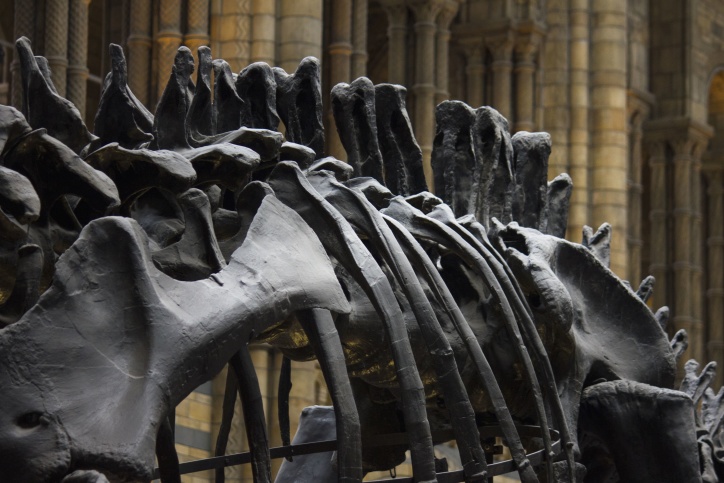 dinosaurio, historia, museo, huesos, escultura, estatua