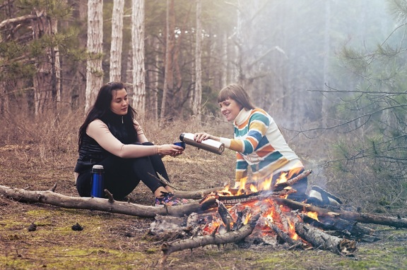 picnic, forest, women, wood, barbecue, campfire, outdoor, recreation