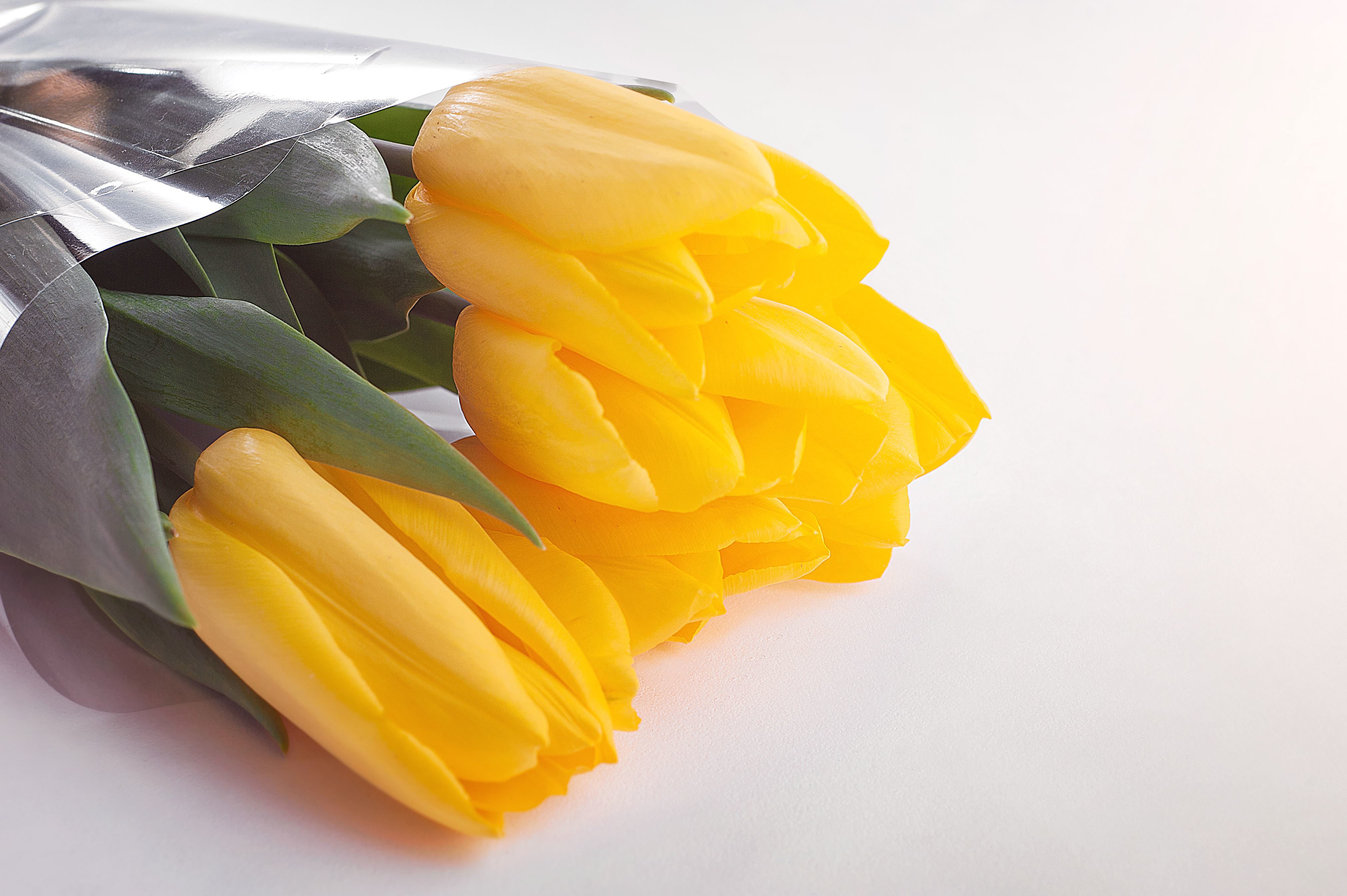Gambar Gratis Bunga Bunga Mekar Blossom Karangan Bunga Tulip