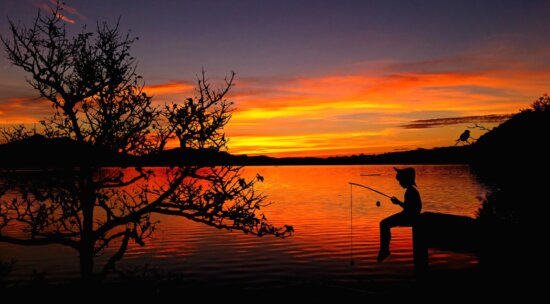 日没、木、水、浜、男の子、釣り、牧歌的な夕暮れ、シルエット