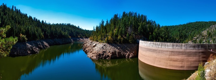 forest, lake, reservoir, dam, water, woods
