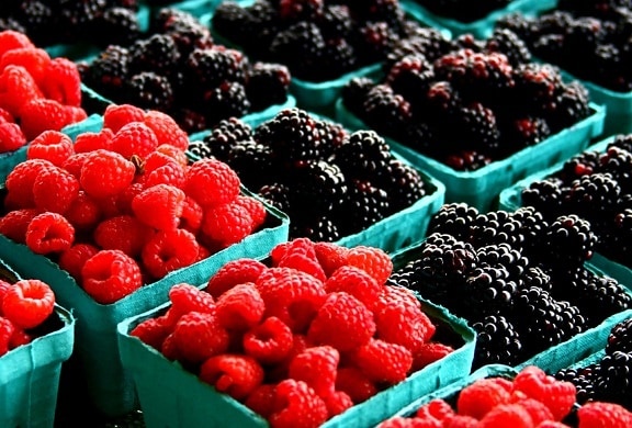 blackberries, raspberry, fruits, fresh fruit, vitamins, sweet, blueberries, dessert