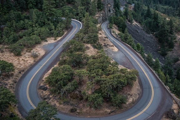 curve, forest, road, rocks, trees, nature