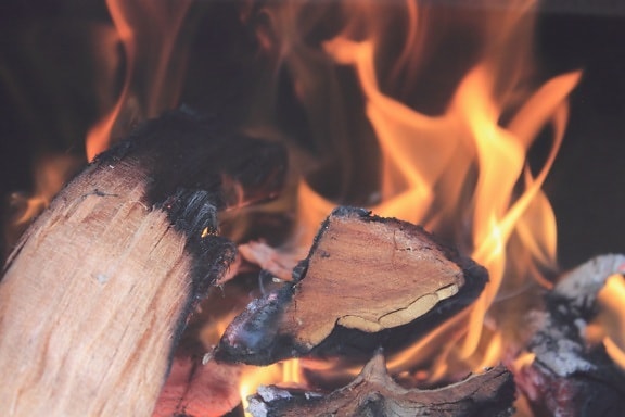 la flamme, la chaleur, le bois, la combustion, le feu