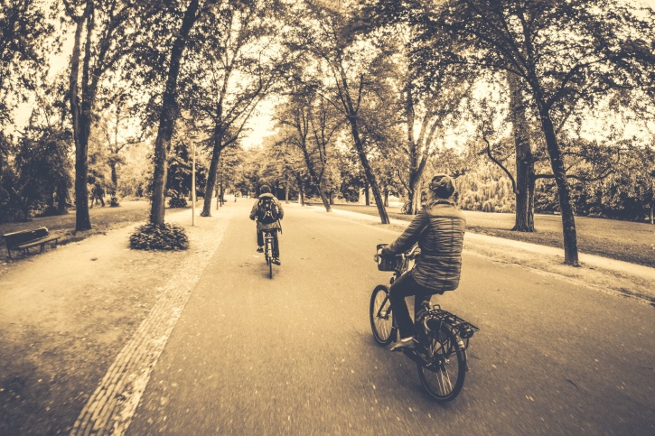 road, street, bicycle, recreation, vehicle, wheel, woods