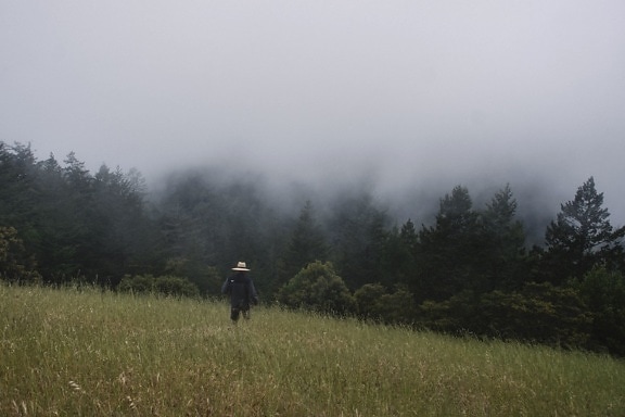 person, field, fog, forest, grass