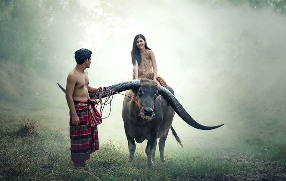 longhorn cattle, Asia, woman, man, romantic, cattle