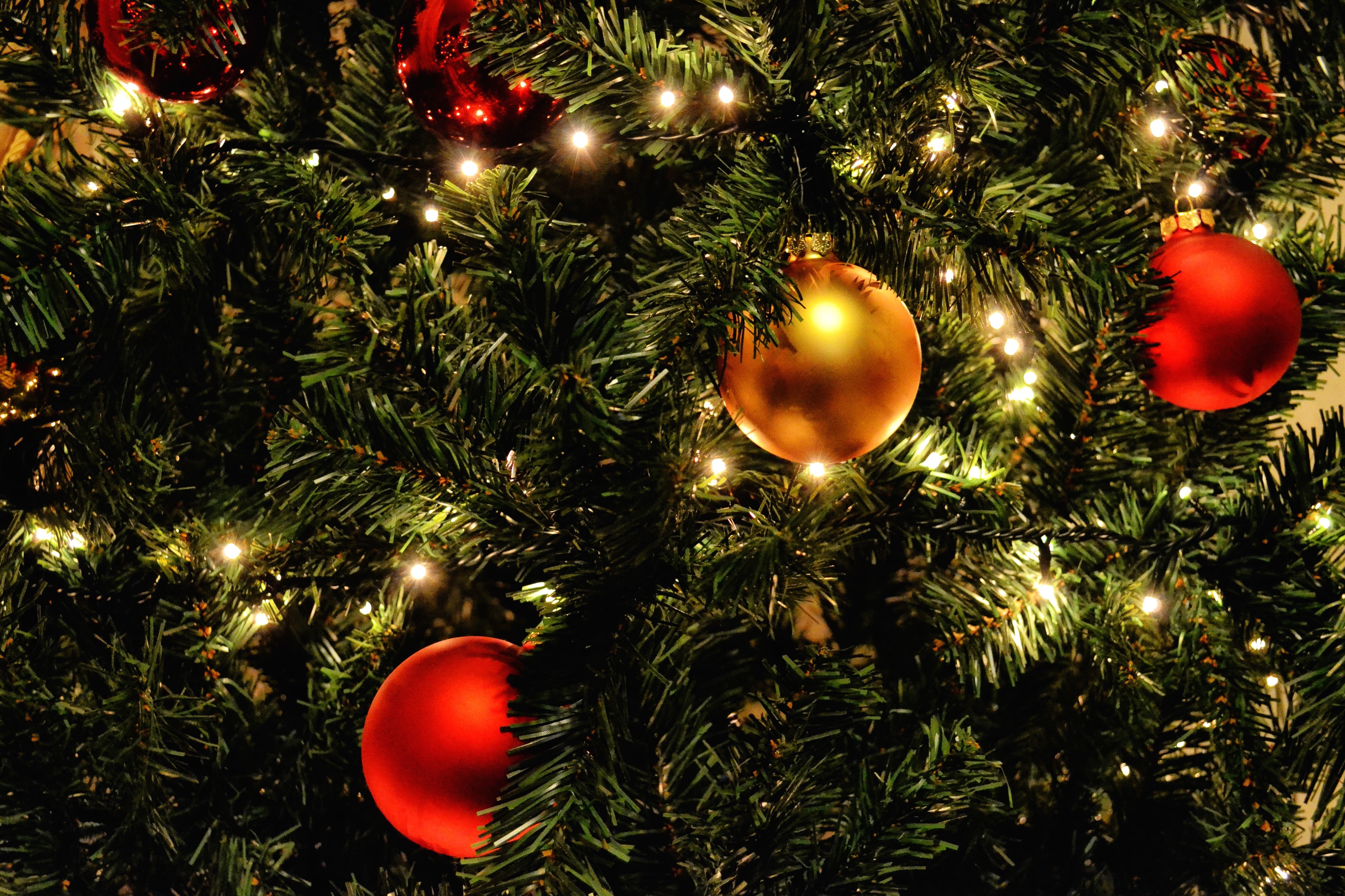 Free picture: decoration, sphere, spruce tree, Christmas 