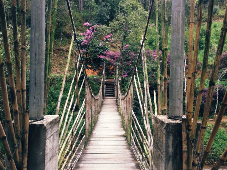 houten brug hangbrug, zomer, vakantie, bomen, hek, voetpad