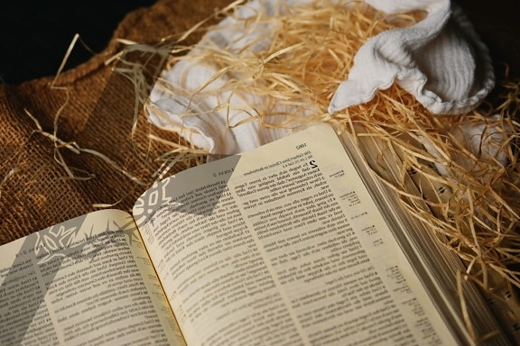 bible, book, business, straw, text, traditional, paper, religion, religious