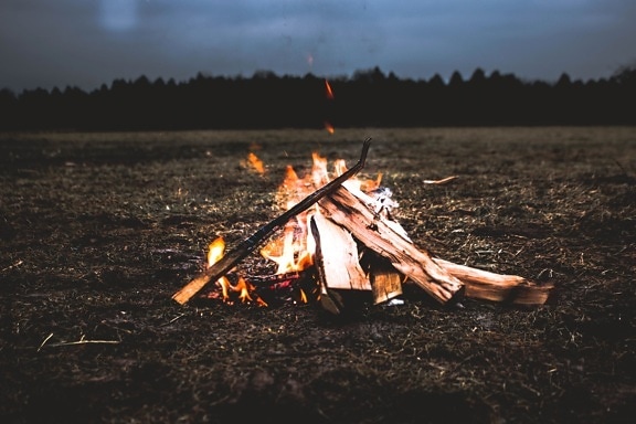 ogień, drewno opałowe, płomień, gorące, nagrywanie, ognisko