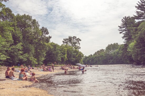 river, crowd, swimming, trees, water, woods