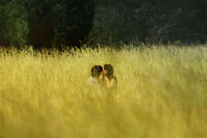 pola, trawa, chłopak, Dziewczyna, pocałunek, miłość, ludzie, romantyczne, romantyczny