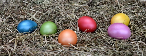 dekorasi, telur Paskah, warna-warni, liburan, dicat