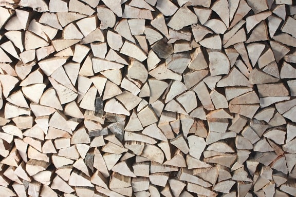 Brennholz, Holz
