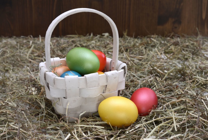 Velikonoční vajíčka, jídlo, trávu, seno, hnízdo, barva, pastviny
