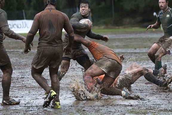 rugby, sport, team, uniform, wet, ball, energy, field