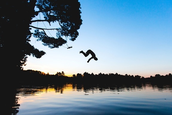 river, silhouette, sunrise, jumping, lake, tree, water