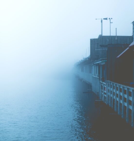 fog, houses, mist, ocean, water, weather, buildings