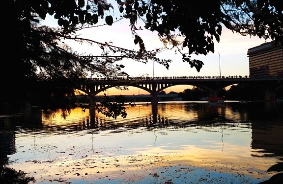 tree, water, bridge, clouds, dusk, evening, reflection, river