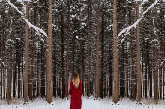 snow, trees, branch, freezing, winter, woman, wood