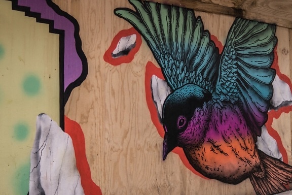птах, графіті, вулиці, стіни, мистецтво