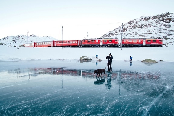 Денне світло, собака, досліджувати, заморожені, озеро, лід, поїзд, подорожі, поїздки, зима