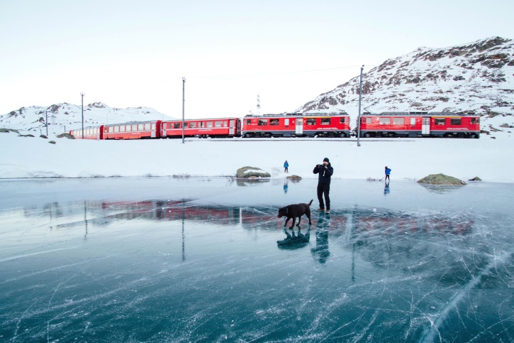 la luz del día, perro, explorar, congelado, lago, hielo, tren, viaje, invierno