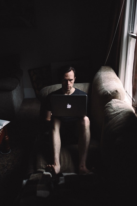 laptop computer, man, room, sitting, sofa, working