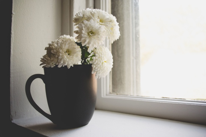 petals, flower pot, vase, window, wood, beautiful, bloom, blossom, bright, ceramic cup