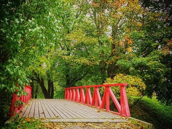 tree, wood, bridge, red
