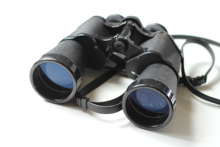 glasses, spy, binoculars, black